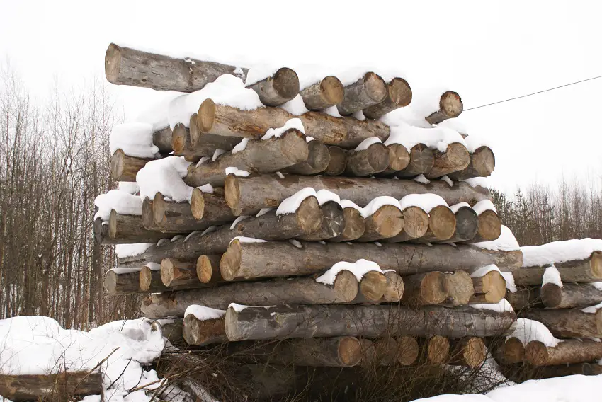 Изображение галереи — 23