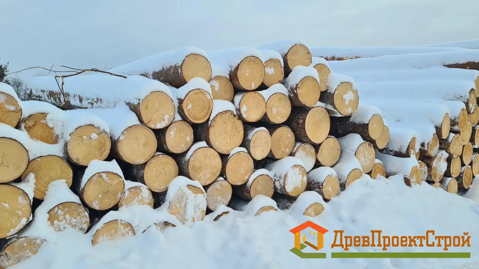 Изображение галереи — 3