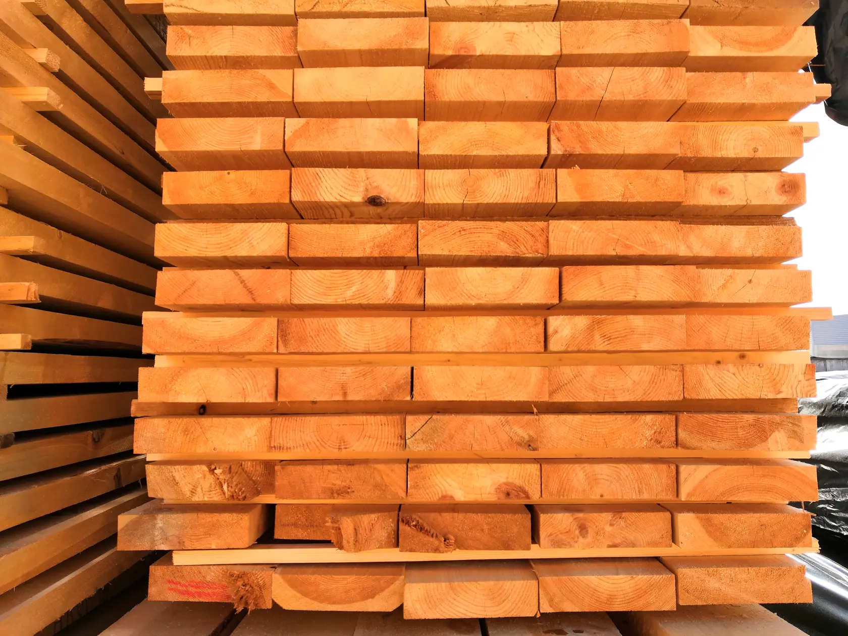 Изображение галереи — 45